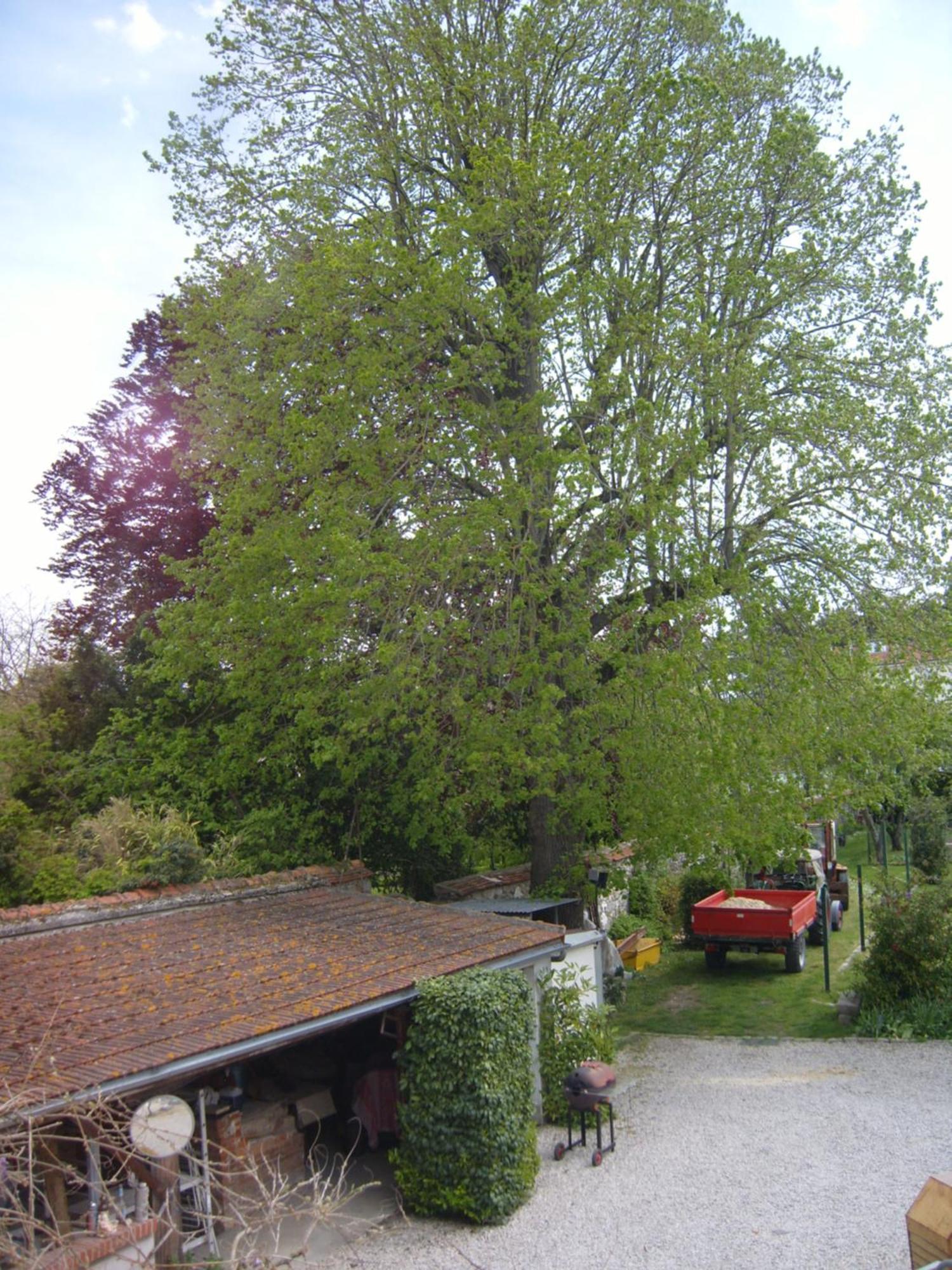 Séjour chez l'habitant Le Vieux Tilleul *